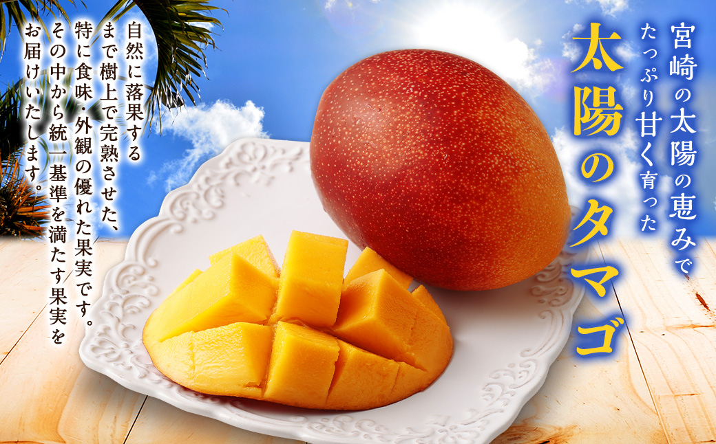 ＜宮崎県産 太陽のタマゴ 3L×2玉 (合計約900g)＞2024年5月中旬～7月下旬迄に順次出荷