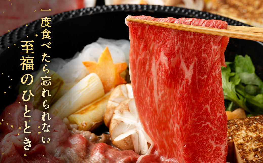 ＜宮崎牛肩（ウデ）スライス 500g＞翌月末迄に順次出荷 宮崎牛 黒毛和牛 国産牛 スライス ウデ お肉 牛肉 贅沢 高級 冷凍 九州 宮崎