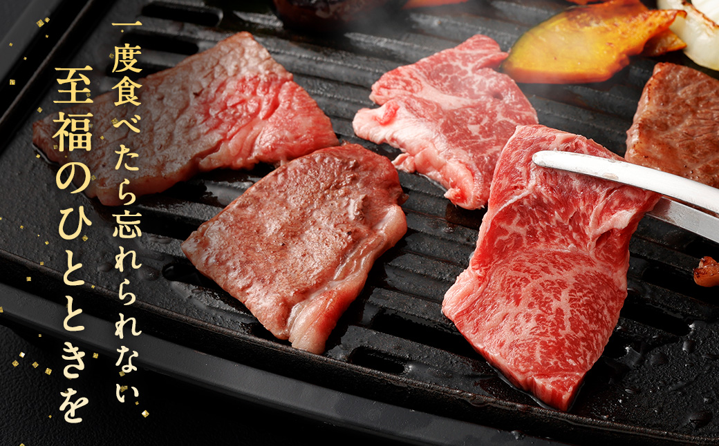 ＜宮崎牛赤身焼肉 400g＞翌月末迄に順次出荷 宮崎牛 黒毛和牛 国産牛 焼き肉 BBQ お肉 牛肉 赤身 贅沢 高級 冷凍 九州 宮崎