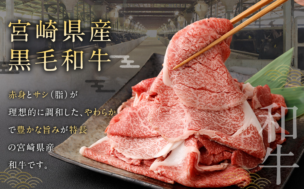 黒毛和牛切り落とし 500g×1パック