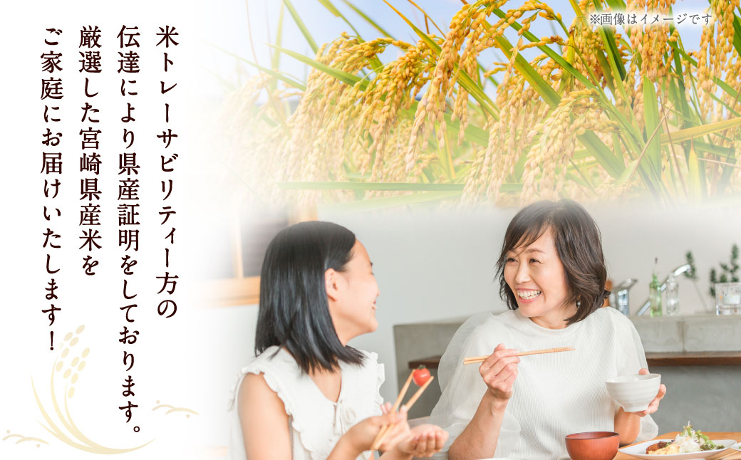 宮崎県産米 ふる里からの贈り物 5kg×1袋