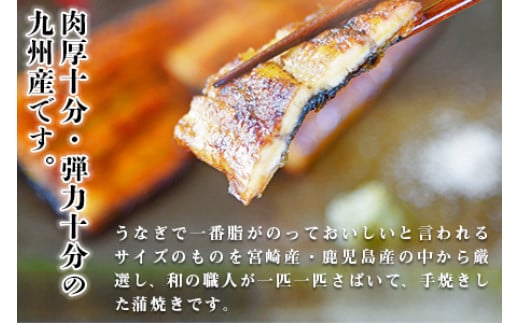 ＜職人手焼き九州産うなぎ 蒲焼き3尾（6切れ）計390g前後＞
