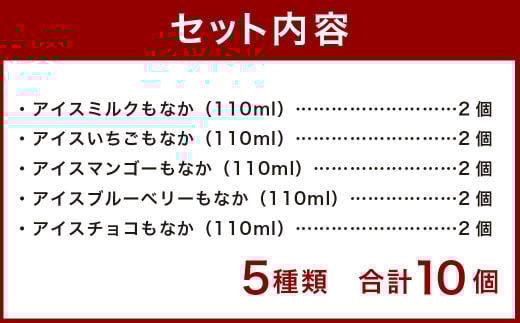 ＜アイスもなか 5種10個セット＞2か月以内に順次出荷 アイス 自家製 セット