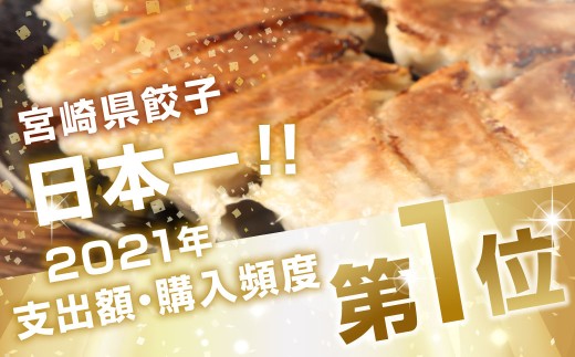 たかなべギョーザ 冷凍ギョーザ 30個