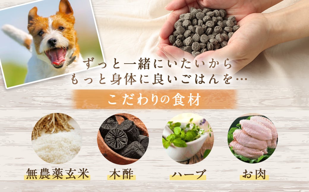 ＜華 500g＞翌月末迄に順次出荷