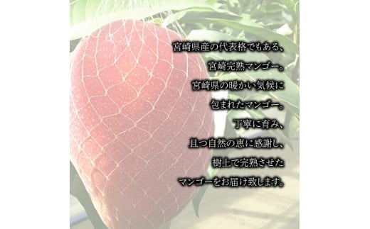 宮崎県産完熟マンゴー