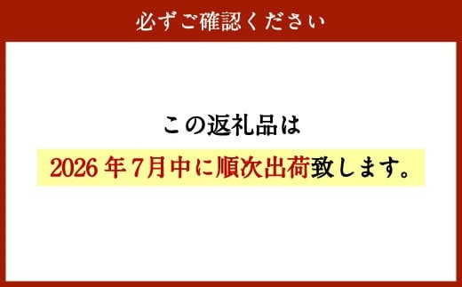 ＜宮崎県産ライチ600g＞