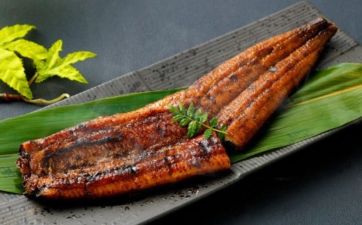 ＜職人手焼き九州産うなぎ 蒲焼き2尾（4切れ）計260g前後＞翌月末迄に順次出荷