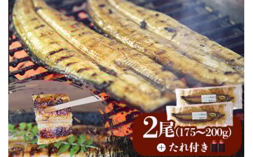 ＜うなぎ蒲焼 （175～200g）×2尾＞翌月末迄に順次出荷