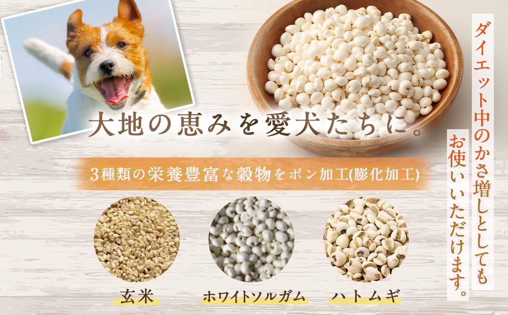 ＜わんポン【玄米・ホワイトソルガム・ハトムギ3種セット】＞翌月末迄に順次出荷