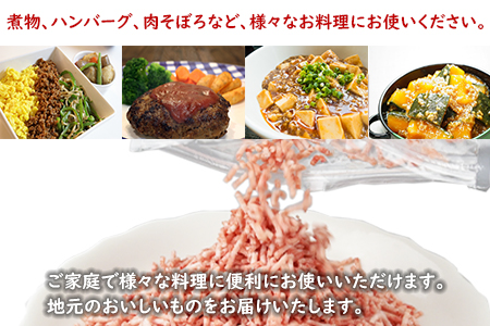 ＜宮崎県産豚ミンチ5.0kg＞