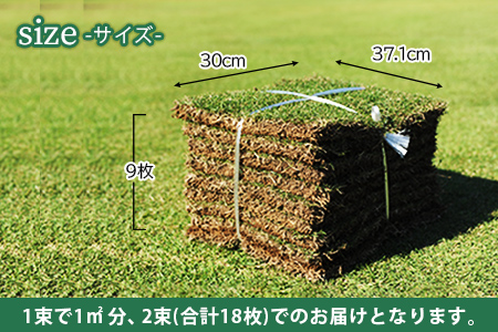 ＜姫高麗芝 2平方メートル＞※2か月以内に順次出荷