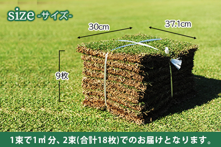 ＜高麗芝 2平方メートル＞2か月以内に順次出荷