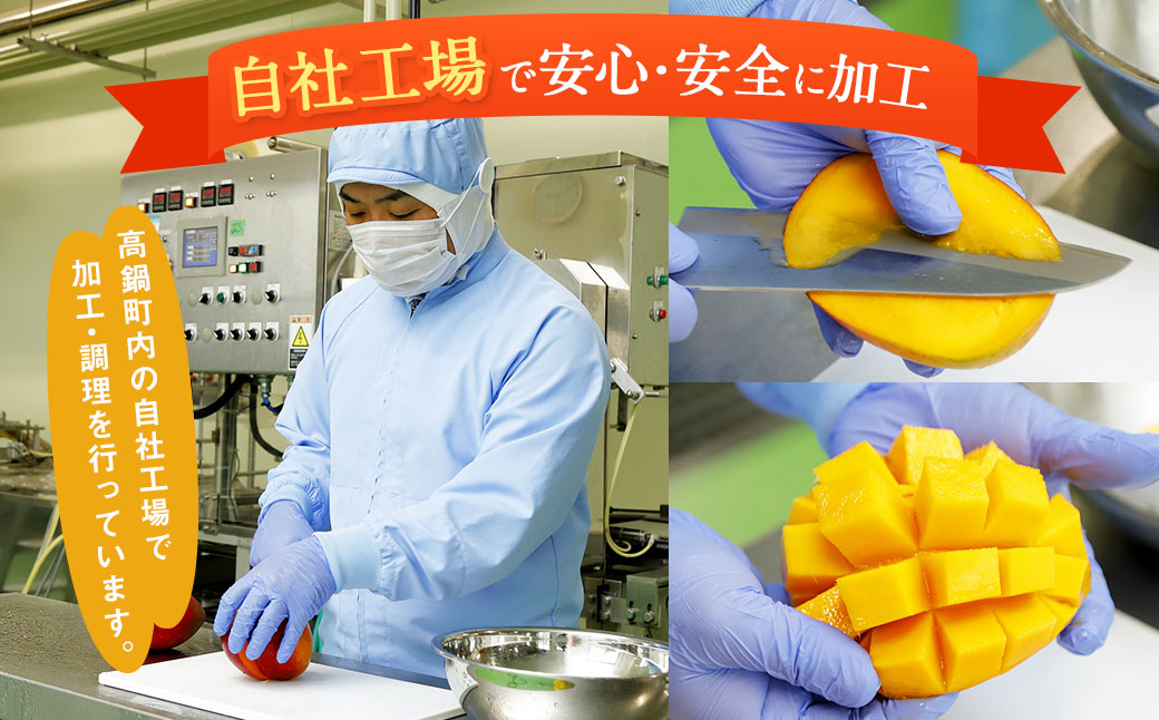 ＜宮崎県産マンゴージュース 極極 500ml＞翌月末迄に順次出荷