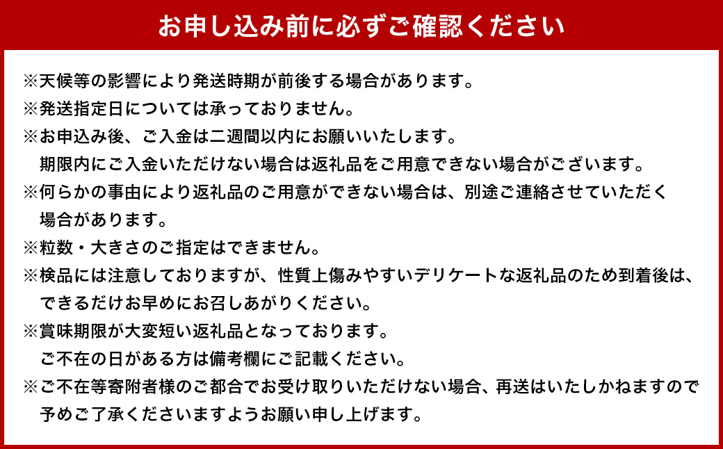 ＜宮崎県産 有機いちご 約1kg（約250g×4パック）＞2026年1月下旬～3月上旬迄に順次出荷 フルーツ 果物 くだもの いちご イチゴ 苺 冷蔵 有機栽培 さがほのか あまおとめ