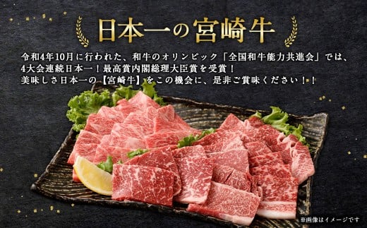 宮崎牛焼肉2種（赤身霜降り） 計600g