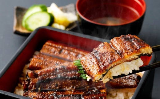 ＜職人手焼き九州産うなぎ 蒲焼き3尾（6切れ）計390g前後＞