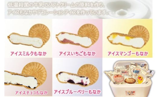 ＜アイスもなか 5種10個セット＞2か月以内に順次出荷 アイス 自家製 セット
