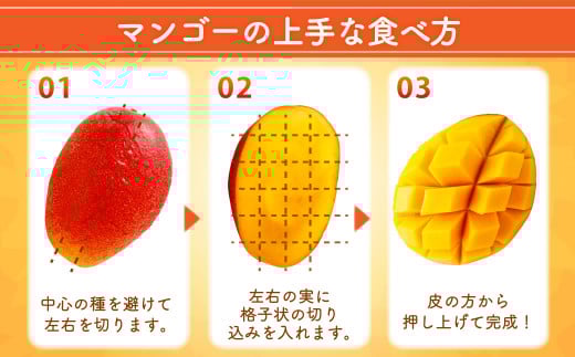 【残りわずか！】＜宮崎県 完熟マンゴー 太陽のタマゴ 3L×2玉(合計 約900g)＞ ※2025年5月上旬～7月末迄に順次出荷します。 マンゴー 果物 くだもの フルーツ 完熟 南国