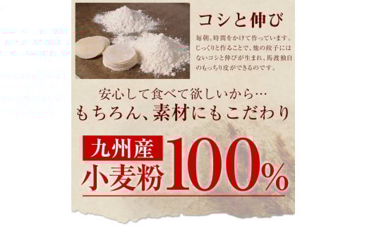 【宮崎空港で大人気!】TV番組で餃子日本一獲得!＜餃子の馬渡馬渡のもっちり餃子40個と手羽餃子9本セット＞翌月末迄に順次出荷 餃子の馬渡 ぎょうざ ギョウザ 手羽先餃子