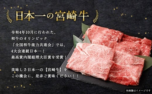 宮崎牛すきしゃぶ2種（赤身霜降り） 計600g