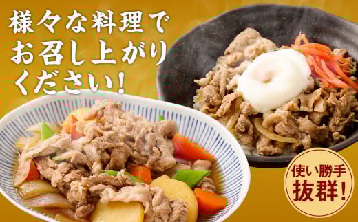 ＜宮崎県産豚こま切れ（モモ・ウデ） 250g×16パック 計4kg＞翌月末迄に順次出荷翌月末迄に順次出荷 肉 お肉 豚肉 豚小間 こま切れ モモ肉 ウデ肉 国産