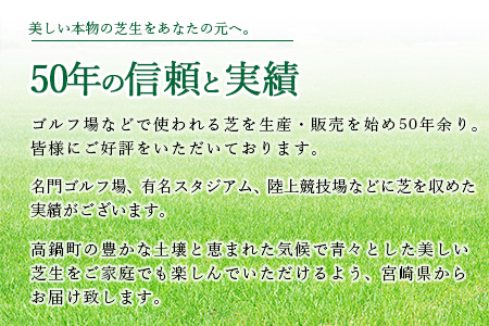 ＜姫高麗芝 2平方メートル＞※2か月以内に順次出荷