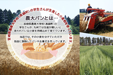 ＜YASUKICHIベーグル(農大パン)7種類16ケ入＞翌月末迄に順次出荷