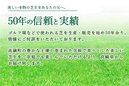 ＜高麗芝 2平方メートル＞2か月以内に順次出荷