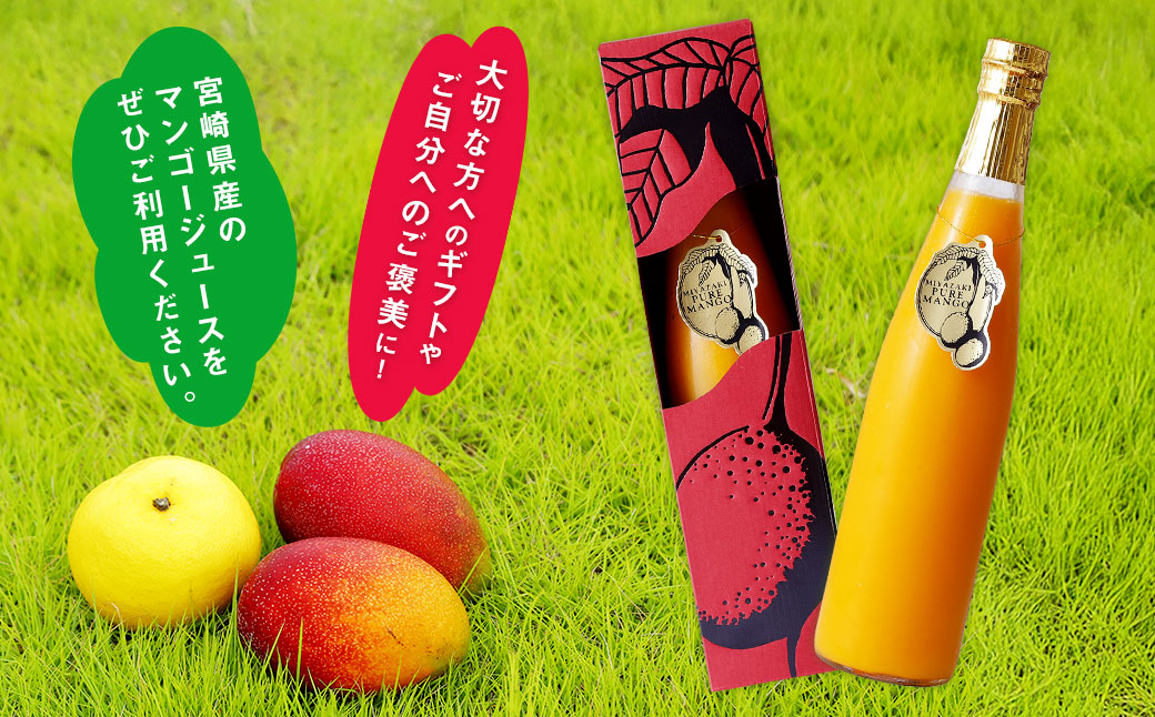 ＜宮崎県産マンゴージュース 極極 500ml＞翌月末迄に順次出荷
