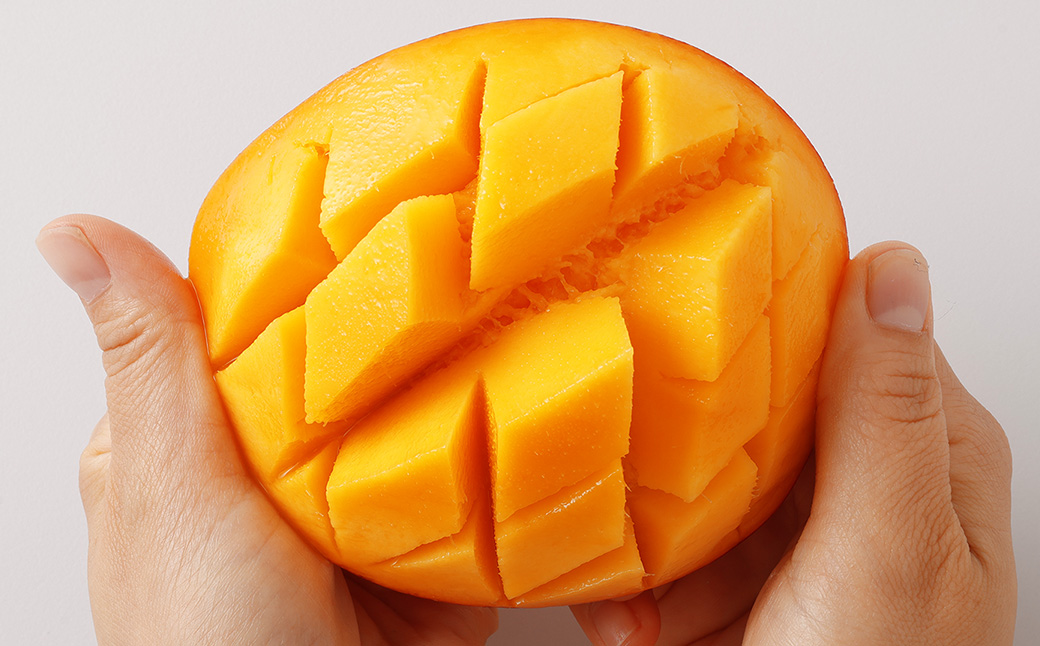 ＜宮崎県産 太陽のタマゴ 2L×2玉 (合計約700g)＞2024年5月中旬～7月下旬迄に順次出荷