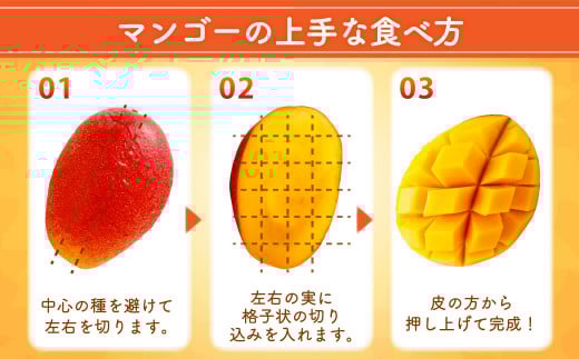 ＜宮崎県産 完熟マンゴー 4L×2玉(合計 約1kg)＞