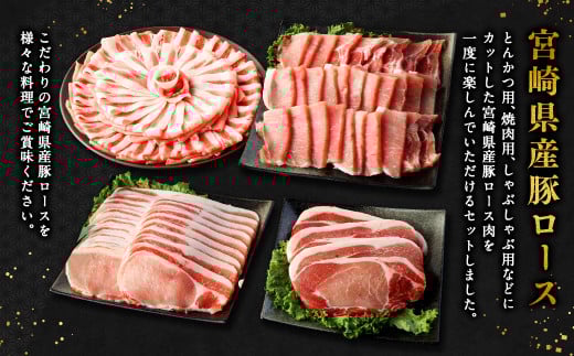 【5ヶ月定期便】＜宮崎県産豚セット（計2.1kg×5回）＞ お申込みの翌月下旬頃に第一回目発送（12月は中旬頃） 豚肉 お肉 肉 新生活応援 卒業祝い 就職祝い 入学 卒業 お花見 引越し