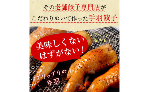 【宮崎空港で大人気!】TV某番組で餃子日本一獲得!＜馬渡の手羽餃子18本＞翌月末迄に順次出荷 餃子の馬渡 手羽先餃子 国産100％ 宮崎餃子 特産品