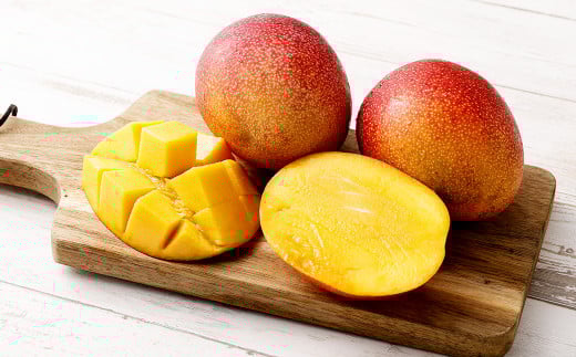 ＜宮崎県産完熟マンゴー 4L×1玉（500g以上）＞2025年4月中旬～7月下旬までに順次出荷