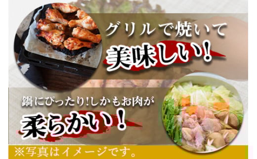 ＜万能手羽塩こうじ漬け 3kg（1kg×3袋）＞翌々月末迄に順次出荷