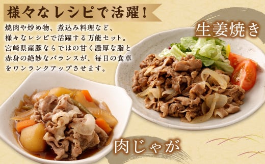 ＜宮崎県産豚 バラエティセット 計2.7kg＞2026年2月上旬より順次出荷 バラエティセット 4種 合計2.7kg 豚バラ焼肉 豚ロースor肩ローススライス 豚モモスライス 豚小間切れ 豚ロース 肩ロース 豚肉 豚 肉 精肉 料理 宮崎県産 宮崎県 宮崎 みやざき 高鍋町 冷凍