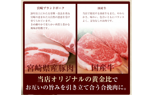 【宮崎空港で大人気!】TV番組で餃子日本一獲得!＜餃子の馬渡馬渡のもっちり餃子40個と手羽餃子9本セット＞翌月末迄に順次出荷 餃子の馬渡 ぎょうざ ギョウザ 手羽先餃子