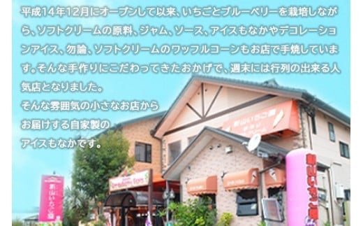 ＜アイスもなか 5種10個セット＞2か月以内に順次出荷 アイス 自家製 セット