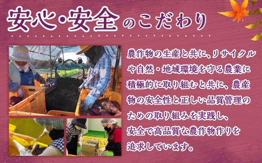 宮崎県産ほしいも（紅はるか）450g