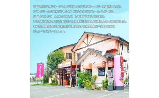 ＜自家製アイスクリームセット＞2か月以内に順次出荷 アイス セット 自家製