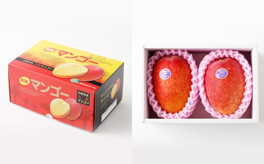 ＜宮崎県 完熟マンゴー2L×2玉 700g＞