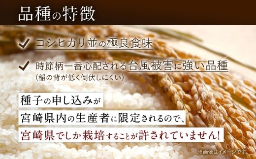 【学校給食提供】＜令和7年産 宮崎県産夏の笑み（無洗米）5kg×1袋 計5kg チャック付き米袋＞お申込みの翌月末までに順次出荷 米 お米 白米 無洗米 宮崎県 高鍋町