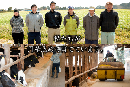 ＜宮崎ハーブ牛 すじ煮 合計約750g＞入金確認後、翌月末迄に順次出荷