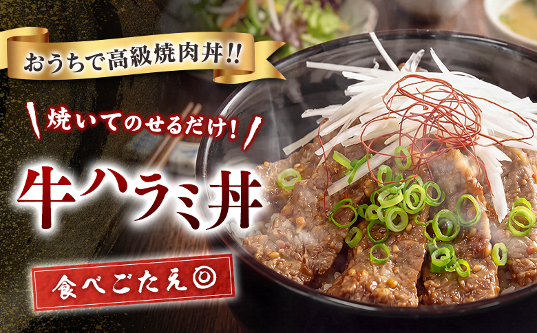 牛 ハラミ 1kg（200g×5袋） 焼肉 肉 牛肉 精肉 味付け 人気 ギフト おすすめ 小分け プレゼント 贅沢 グルメ 冷凍 牛ハラミ 1kg（200g×5袋）