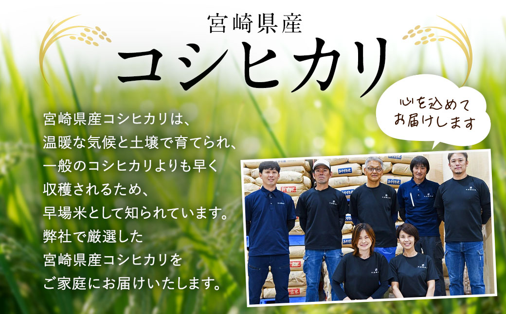 ＜令和7年産 宮崎県産コシヒカリ （無洗米） 5kg×5袋 計25kg チャック付き米袋＞お申込みの翌月末までに順次出荷 こしひかり コシヒカリ お米 米 コメ 国産