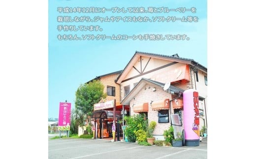 ＜ソフトクリーム屋さんの自家製ブルーベリージャム250g×3＞2か月以内に順次出荷 ジャム 3個