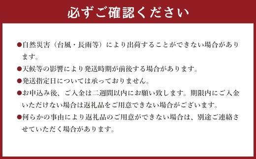 ＜宮崎県 完熟マンゴー2L×2玉 700g＞