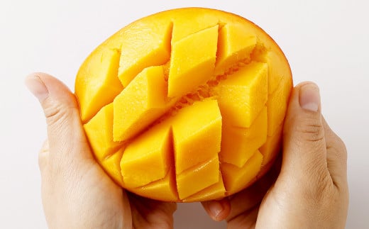 ＜宮崎県産完熟マンゴー 3L×2玉（約900g）＞