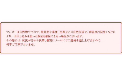 ＜鉢植え樹上　完熟マンゴー 4玉＞2024年5月上旬～6月下旬迄に順次出荷